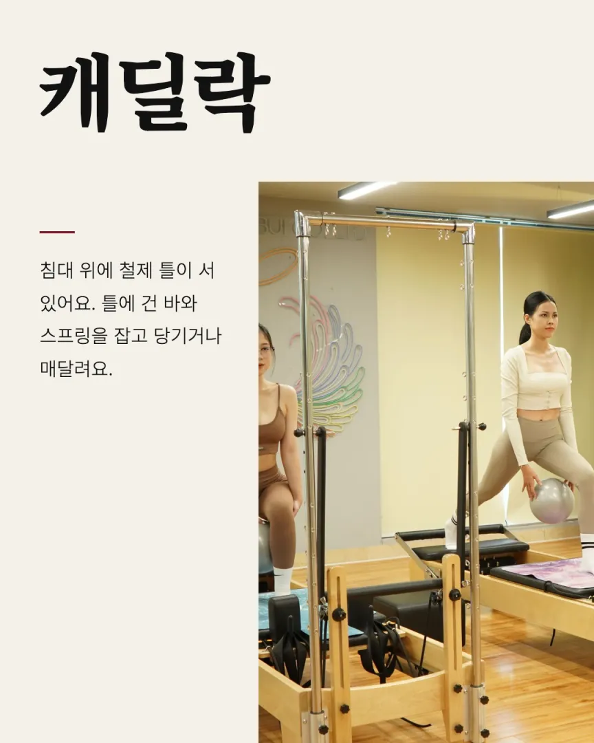 화보 톤 기구 스튜디오 카드뉴스 3장, 캐딜락