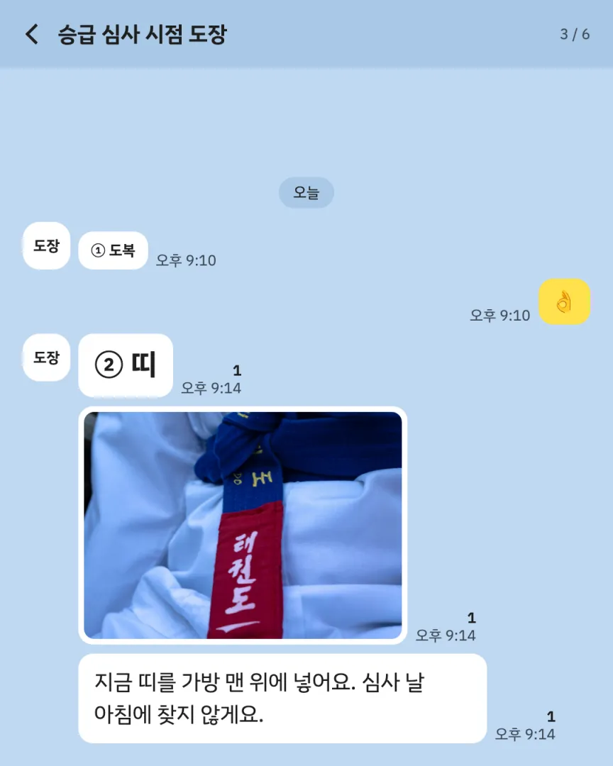 승급 심사 시점 도장 카드뉴스 3장, ② 띠